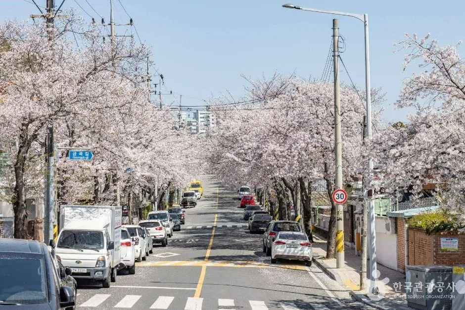 순천_공마당둘레길 (7)