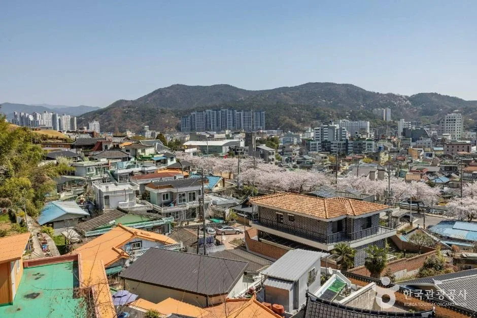 순천_공마당둘레길 (4)