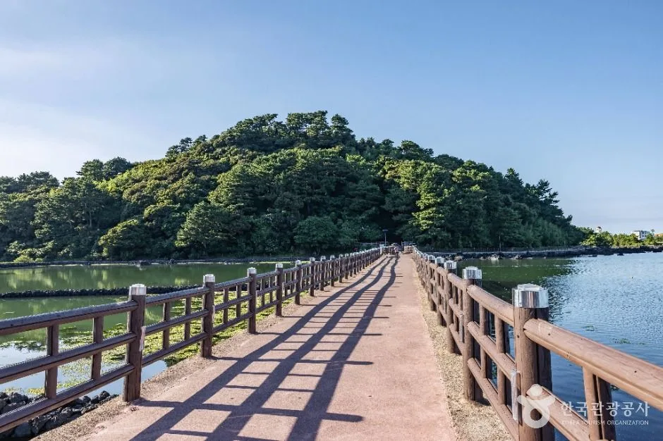 제주_오조포구 (5)