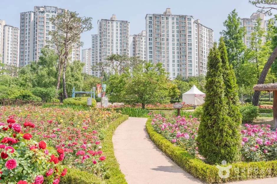 경기_오산_고인돌공원_고인돌군_2.jpg