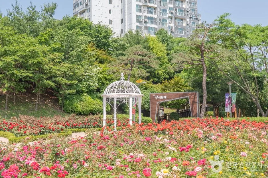 경기_오산_고인돌공원_고인돌군_3.jpg