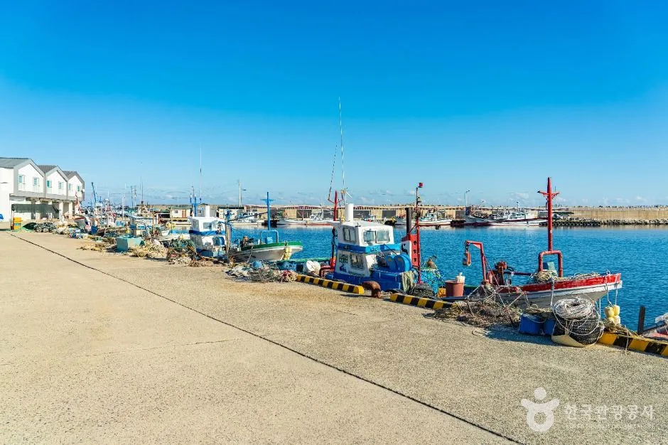 울진_구산항 (5)