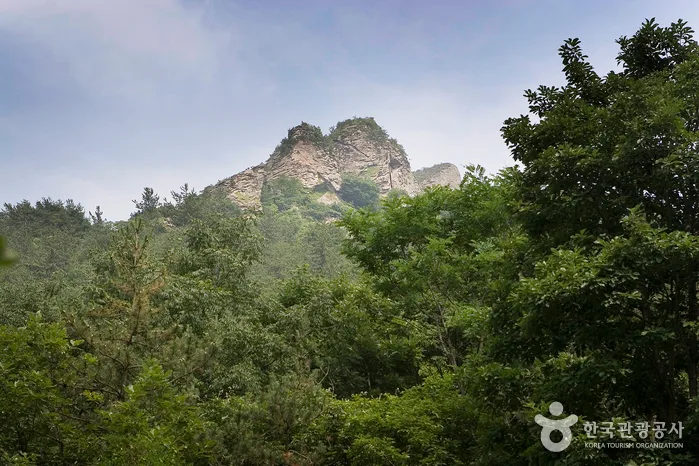 보성_오봉산(보성) (3).jpg