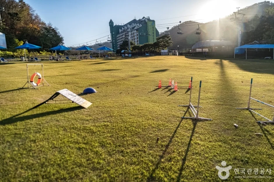 양지 파인펫파크 (10)