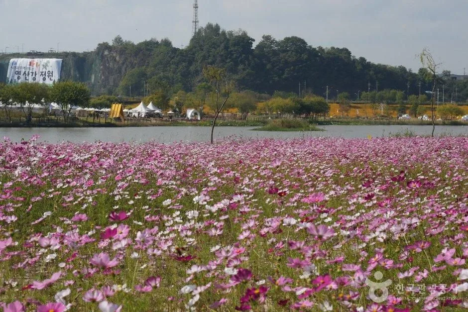 가을빛 물든 전남광주 나주 감성 여행_전남광주_나주_영산강정원_7.JPG