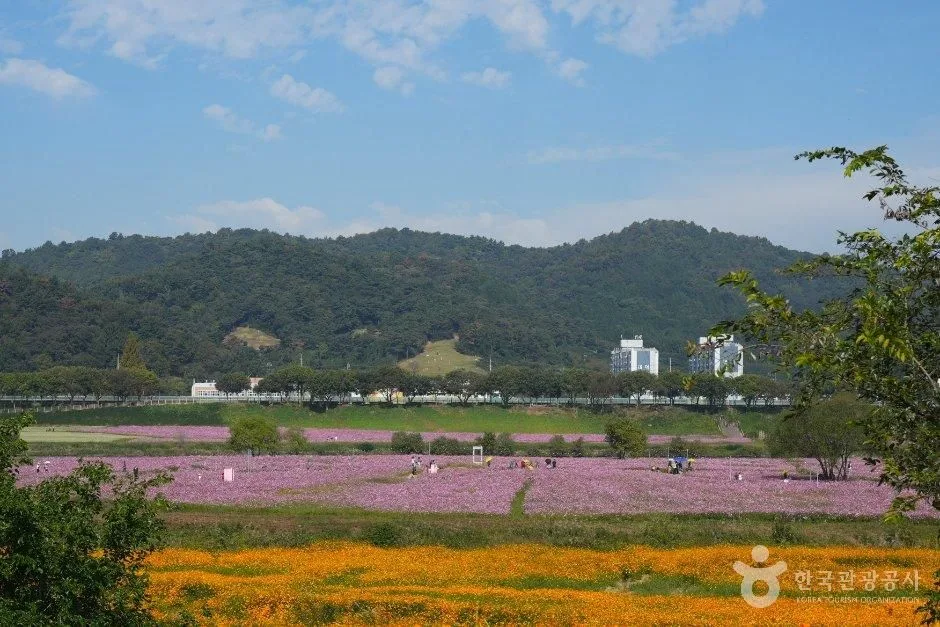 가을빛 물든 전남광주 나주 감성 여행_전남광주_나주_영산강정원_5.JPG
