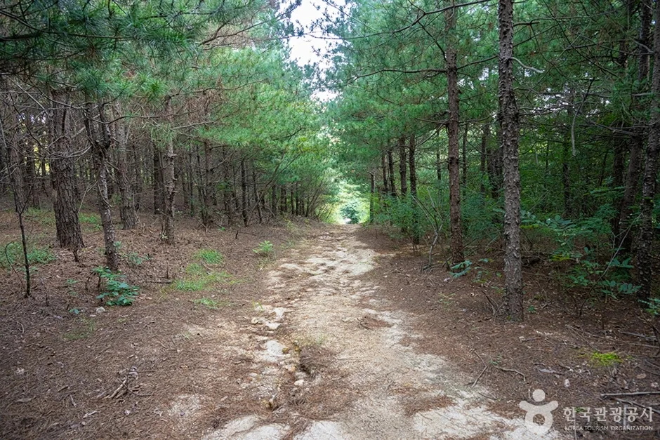 A01054_경기_양주_불곡산_e (14)