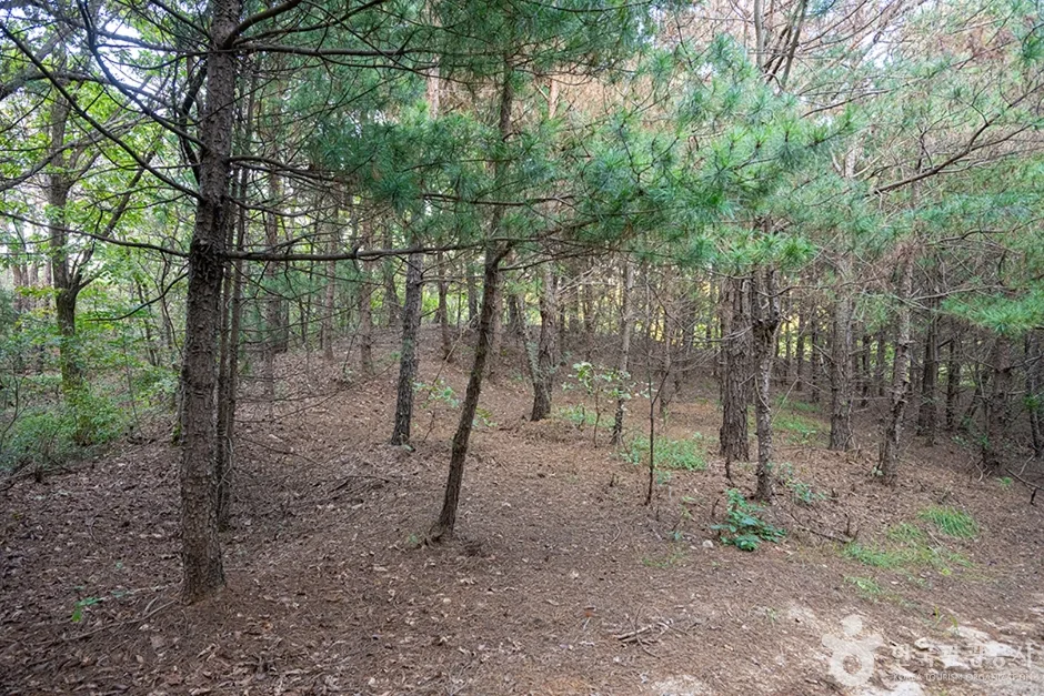 A01054_경기_양주_불곡산_e (12)