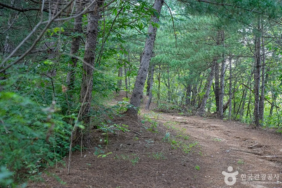A01054_경기_양주_불곡산_e (15)