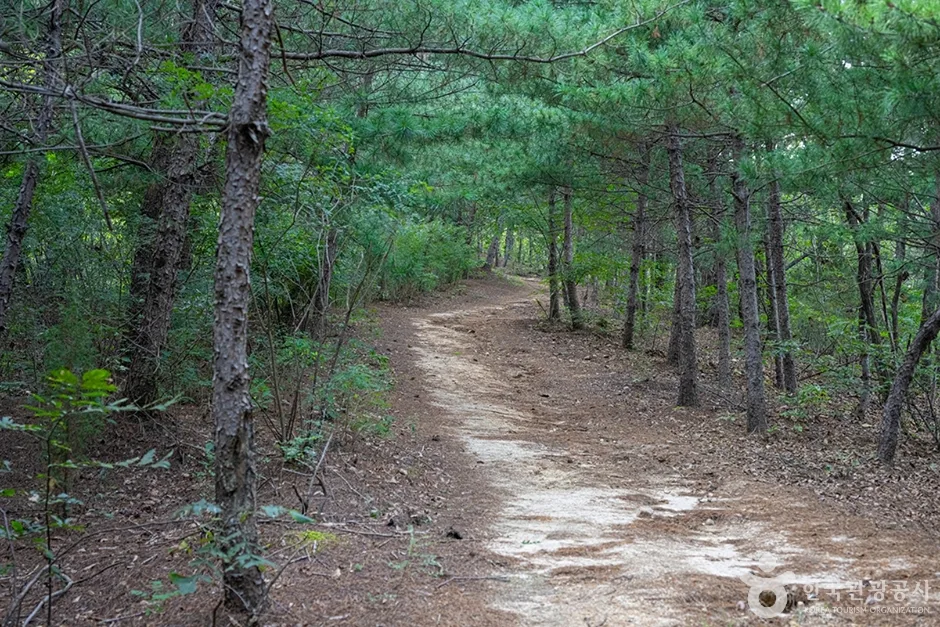 A01054_경기_양주_불곡산_e (9)
