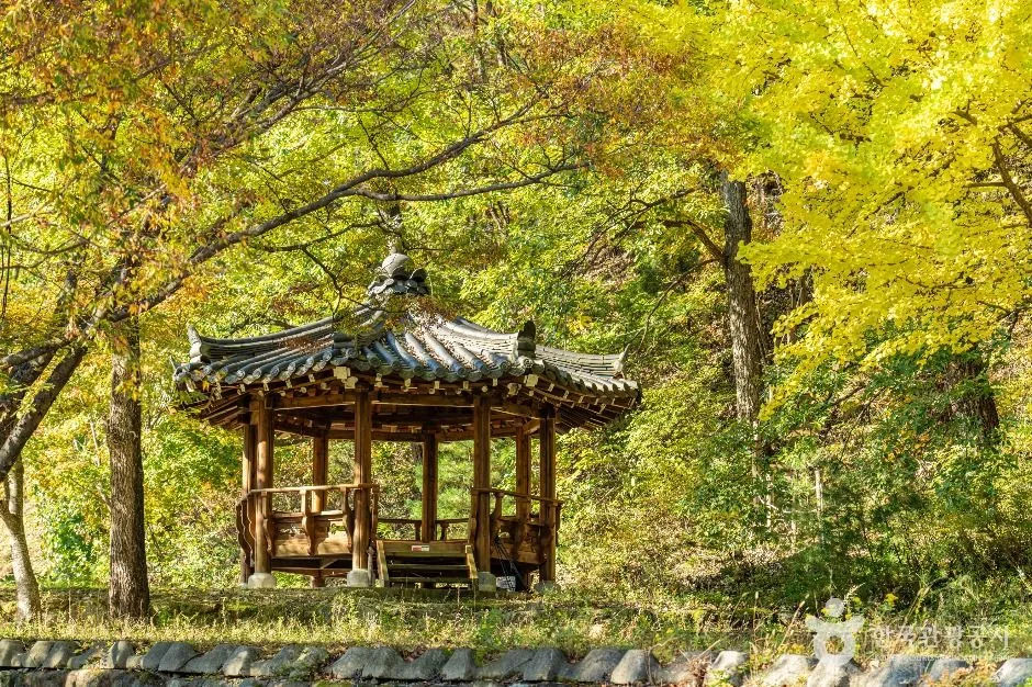 안동_안동 가송마을 (3)