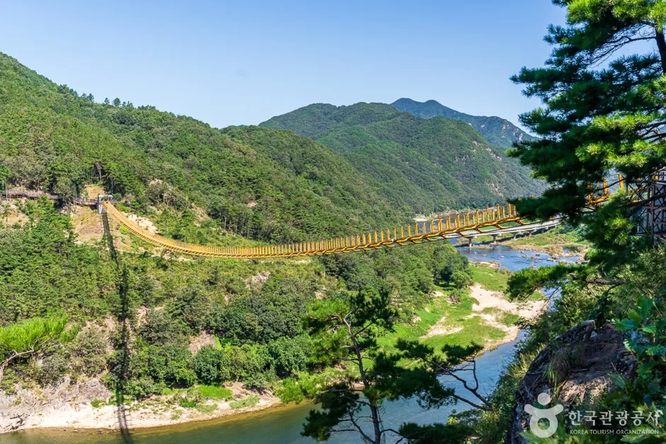 월영산 출렁 다리 (3)