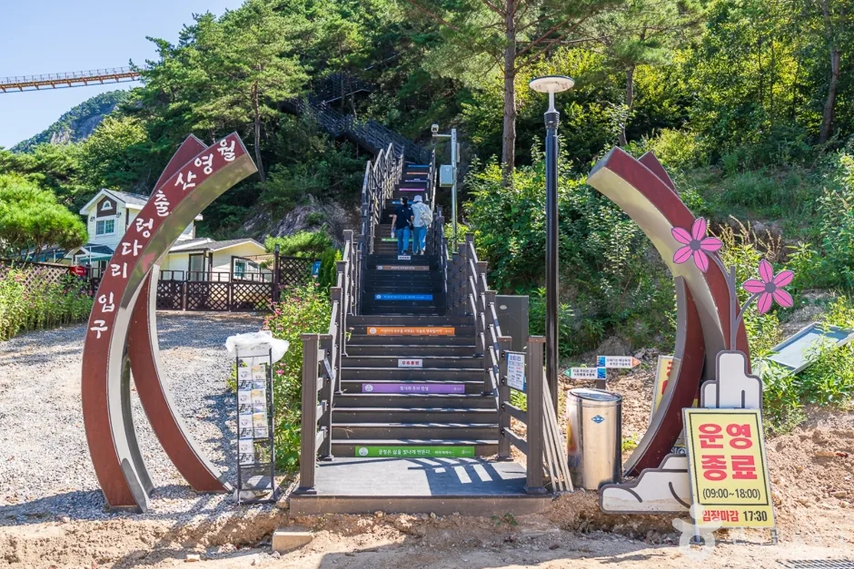월영산 출렁 다리 (1)