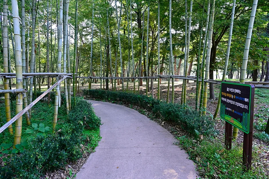 울산광역시_울주군_선바위 공원_37