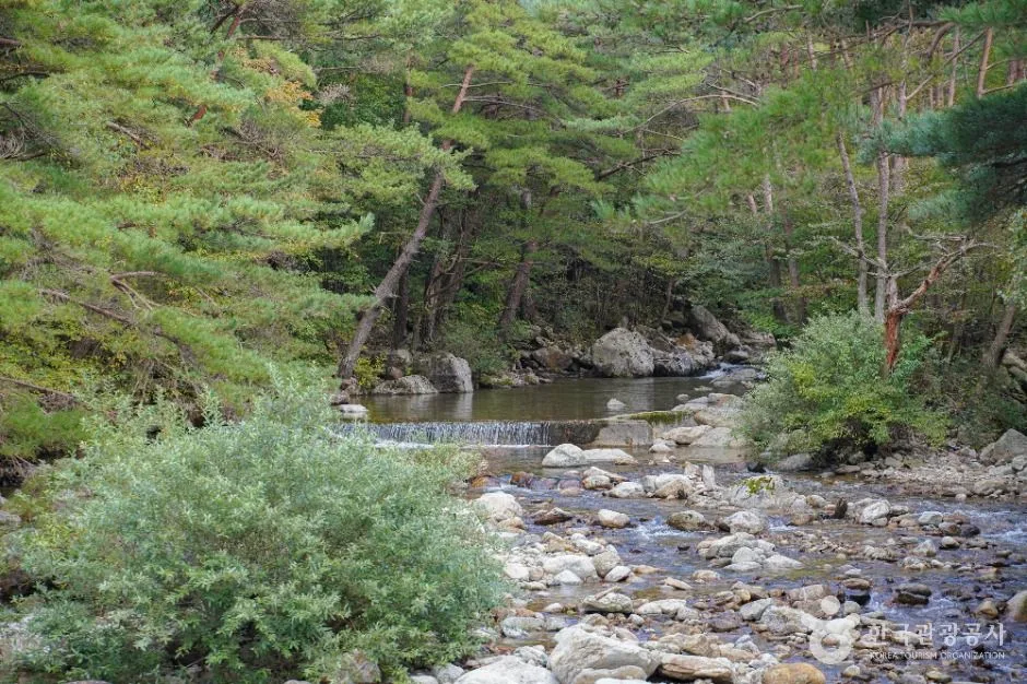 무주_칠연계곡 (4)