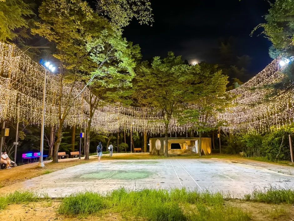 사직 빛의 숲(9)