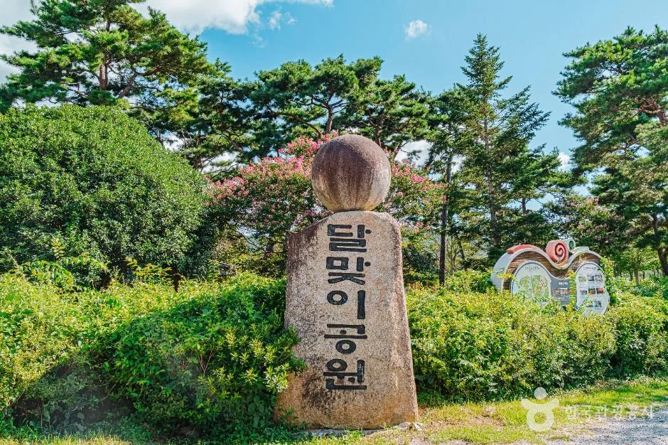 함평_달맞이공원 (1)