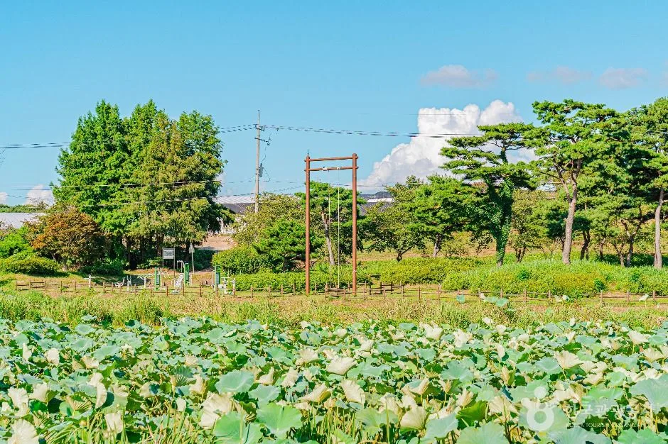 달맞이공원