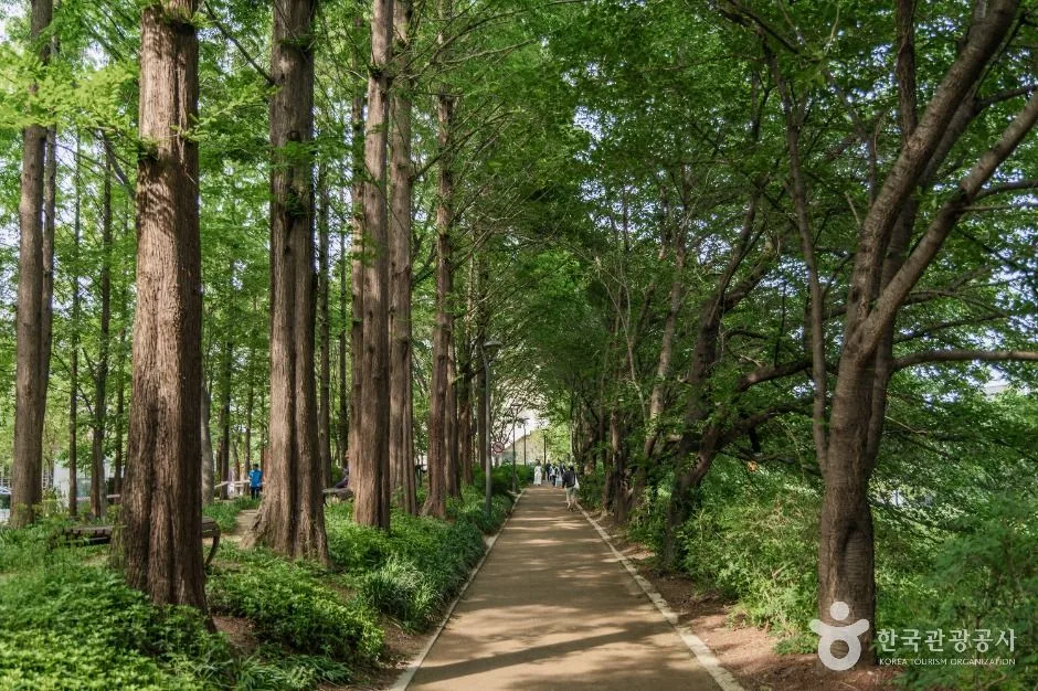 서울_양재천 근린공원 (5)