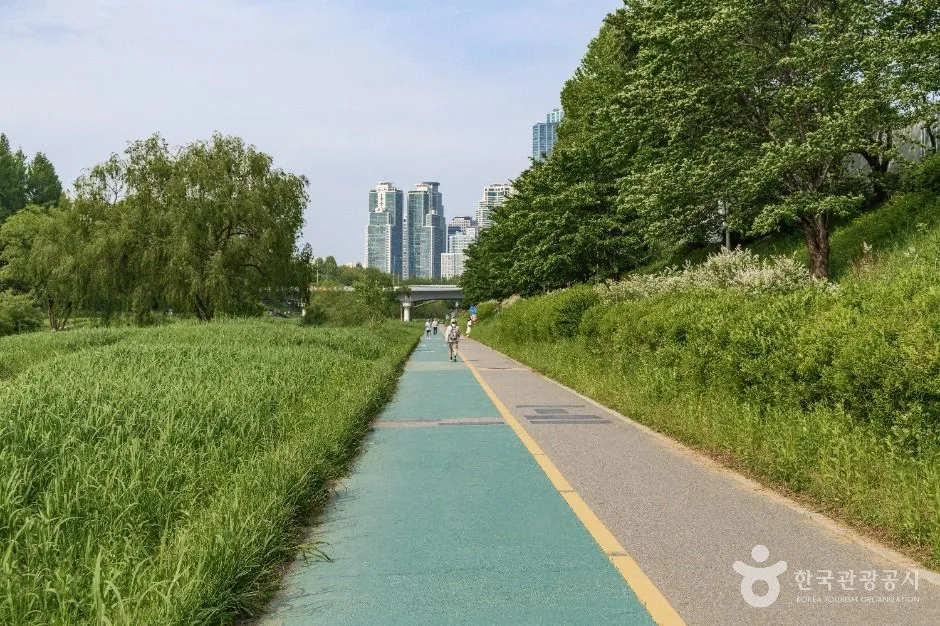 서울_양재천 근린공원 (7)