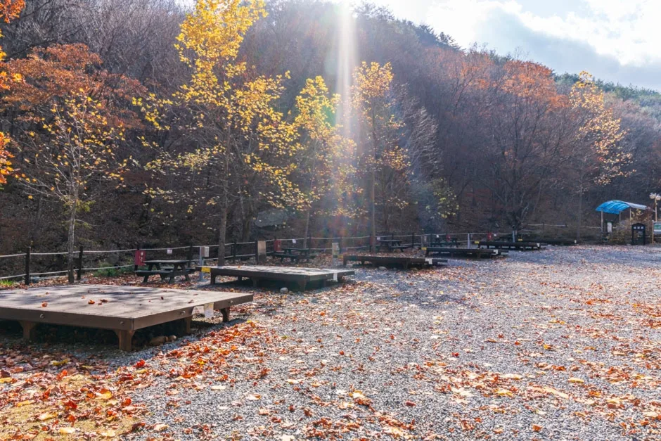 충북_단양_황정산자연휴양림(8)
