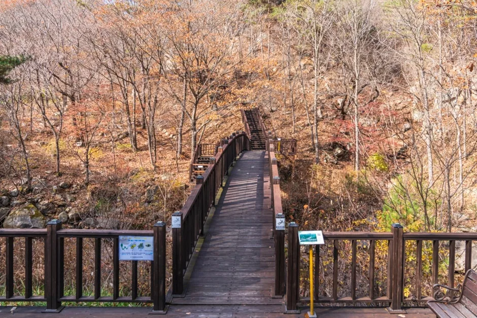충북_단양_황정산자연휴양림(4)