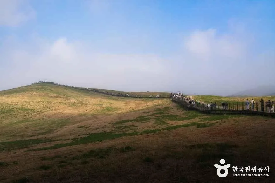 충남_서산_서산한우목장 웰빙산책로_외부_4.jpg