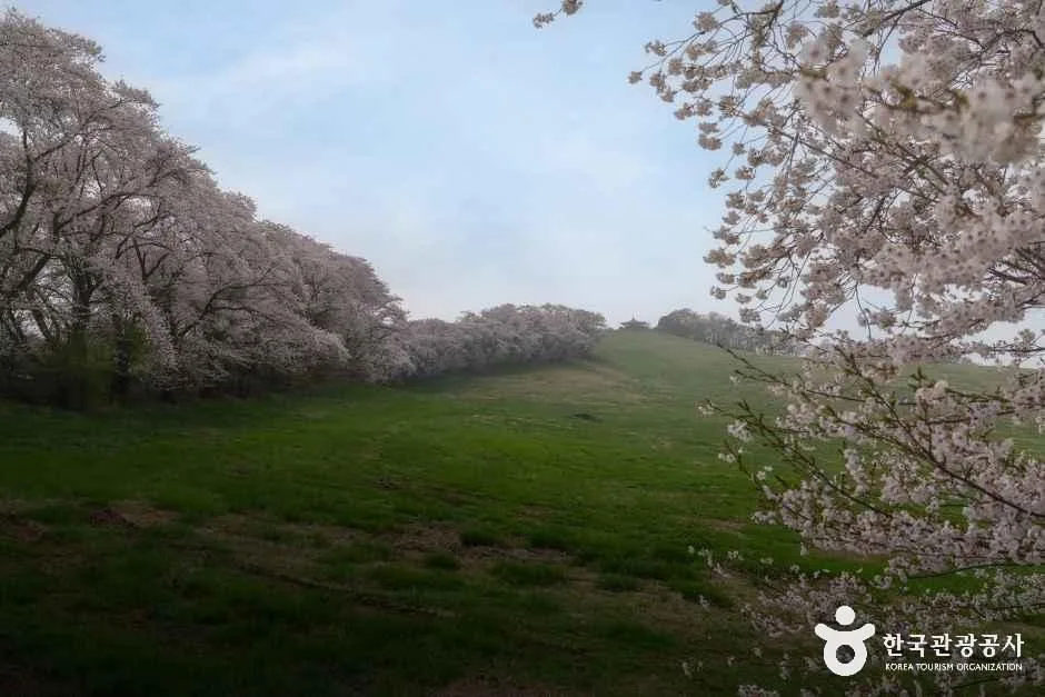 충남_서산_서산한우목장 웰빙산책로_외부_2.jpg