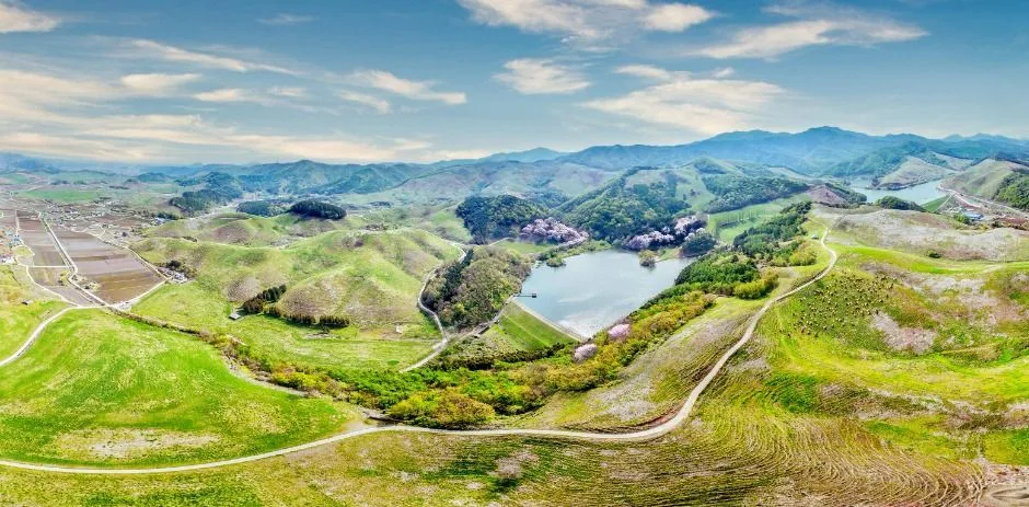 서산_서산한우목장 (3)
