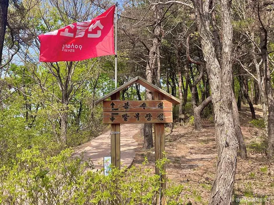포항_구룡포 말목장성탐방로 (6).jpg