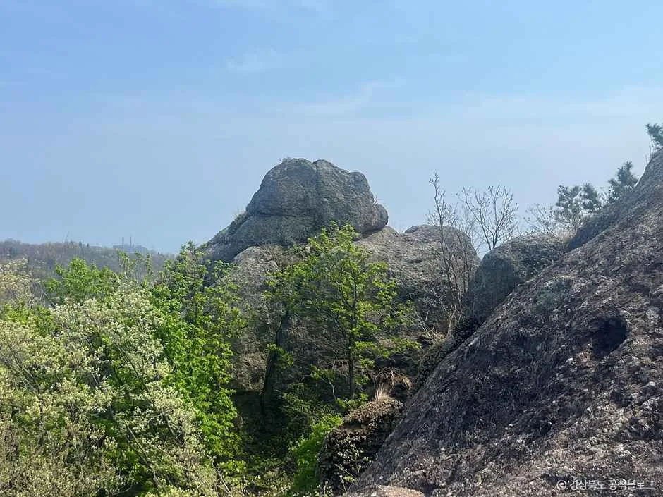 포항_구룡포 말목장성탐방로 (1).jpg