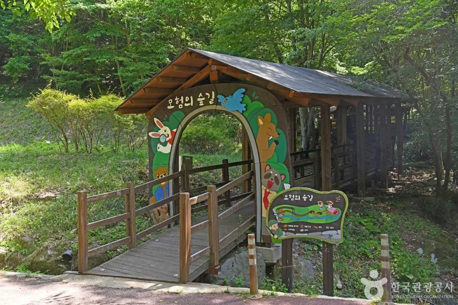 금강생태숲 (6)
