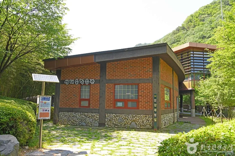 금강생태숲 (7)