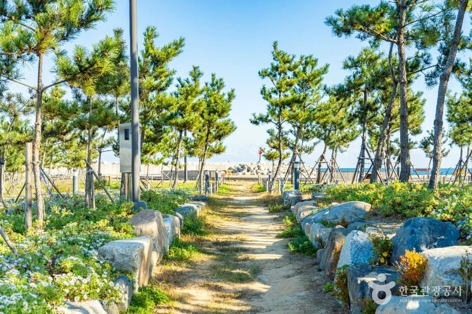 울진_기성항 (3)