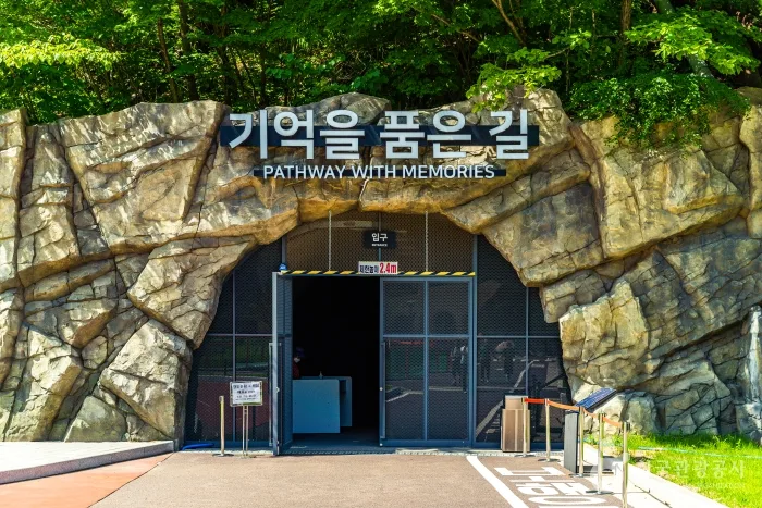 태백_통리탄탄파크 (9).jpg