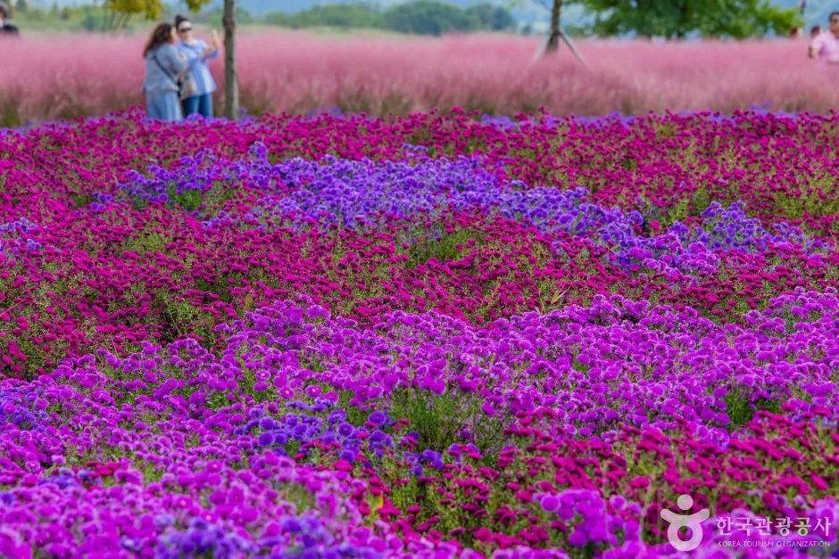 호국의병의 숲 친수공원