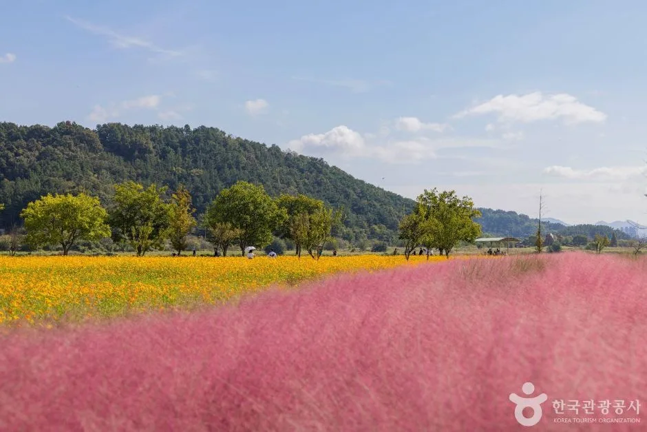 호국의병의 숲 친수공원