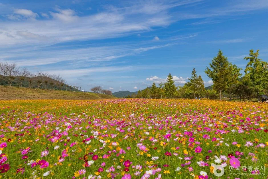 호국의병의숲 친수공원