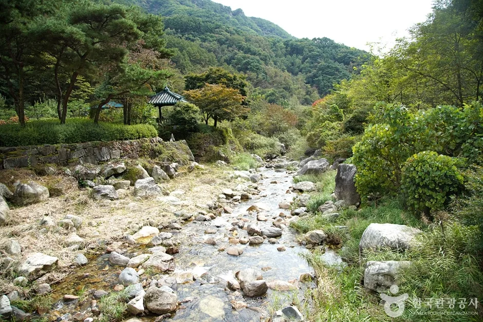 금대계곡 (12)