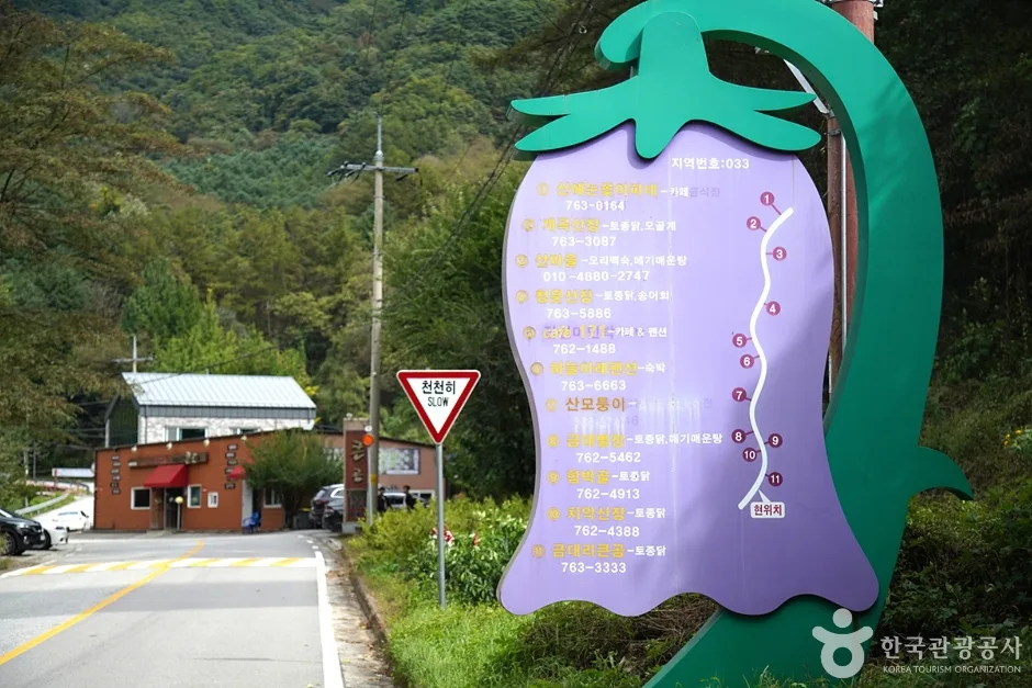 금대계곡 (11)