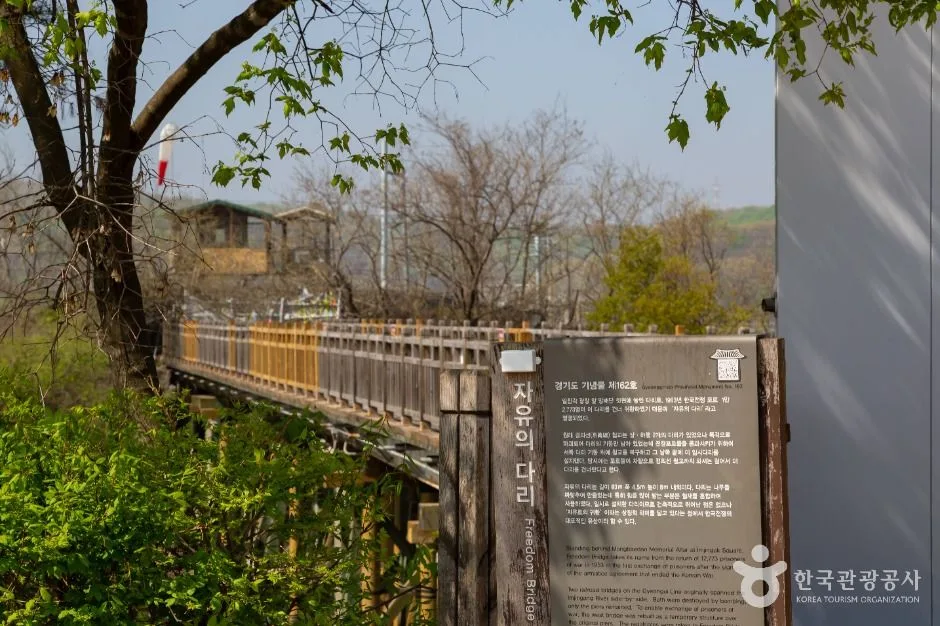 파주_임진강 독개다리 (3)