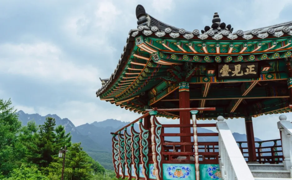 정견대 (3)