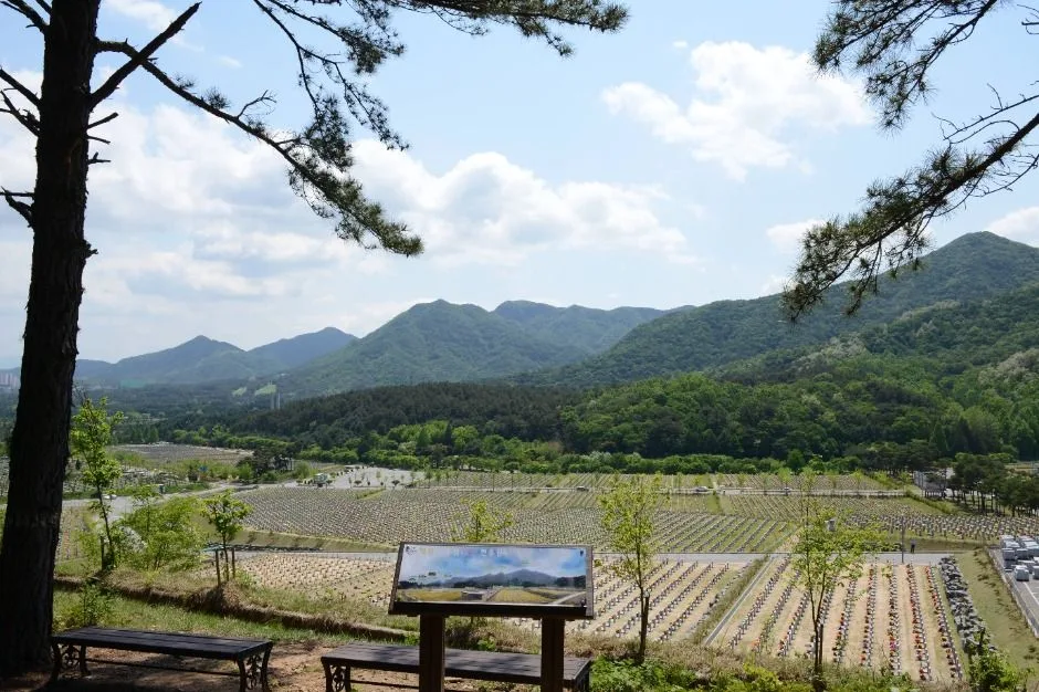대전_국립대전현충원 보훈둘레길 (6)