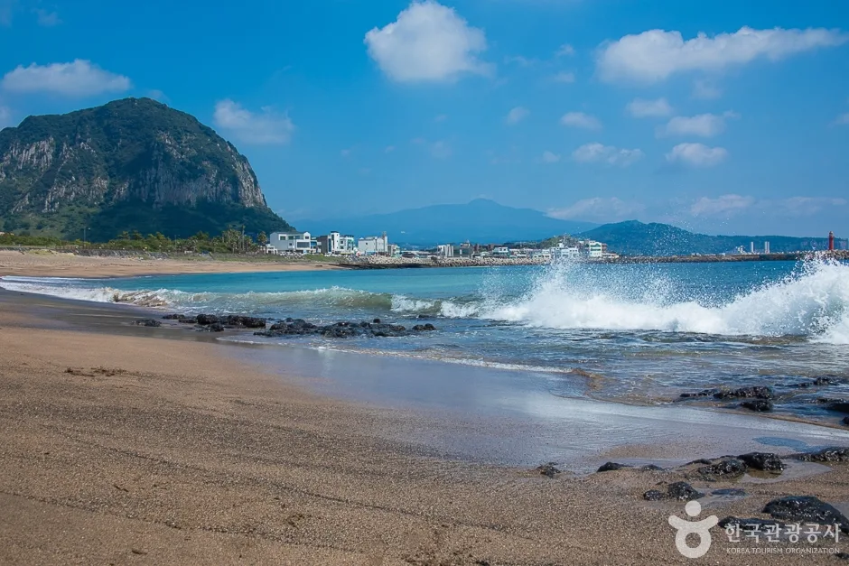 사계해변(14)
