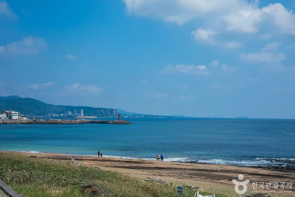 사계해변(7)