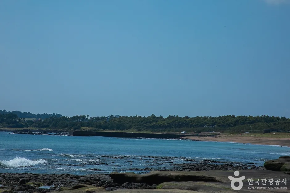 사계해변(10)