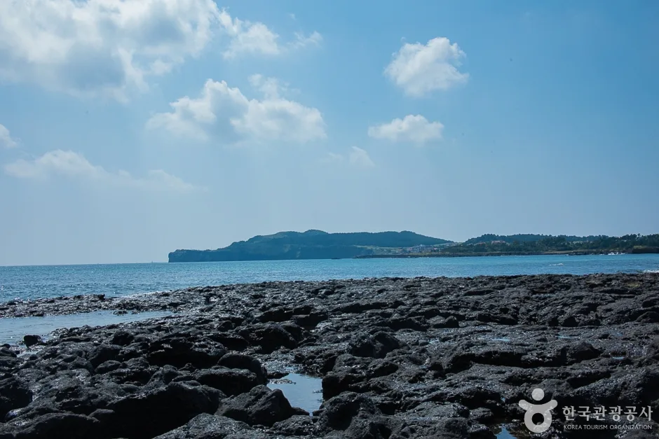 사계해변_흔적 (공모전)