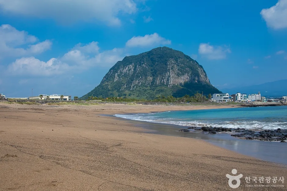 사계해변(11)