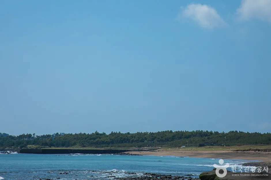 사계해변(16)