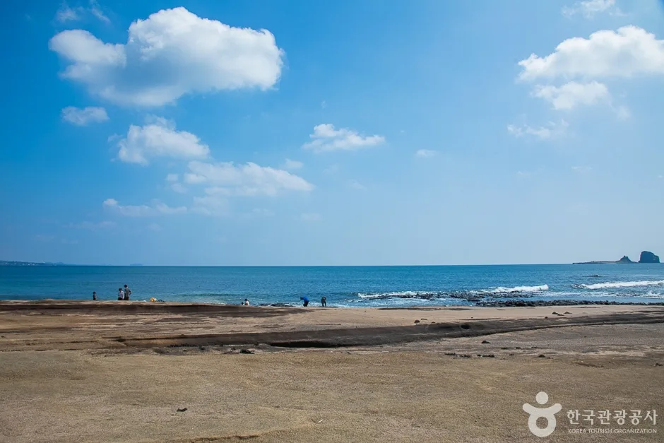 사계해변(15)